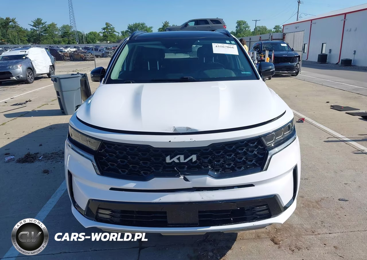 2023 Kia Sorento Sx VIN:5XYRKDLF3PG198232 - 12