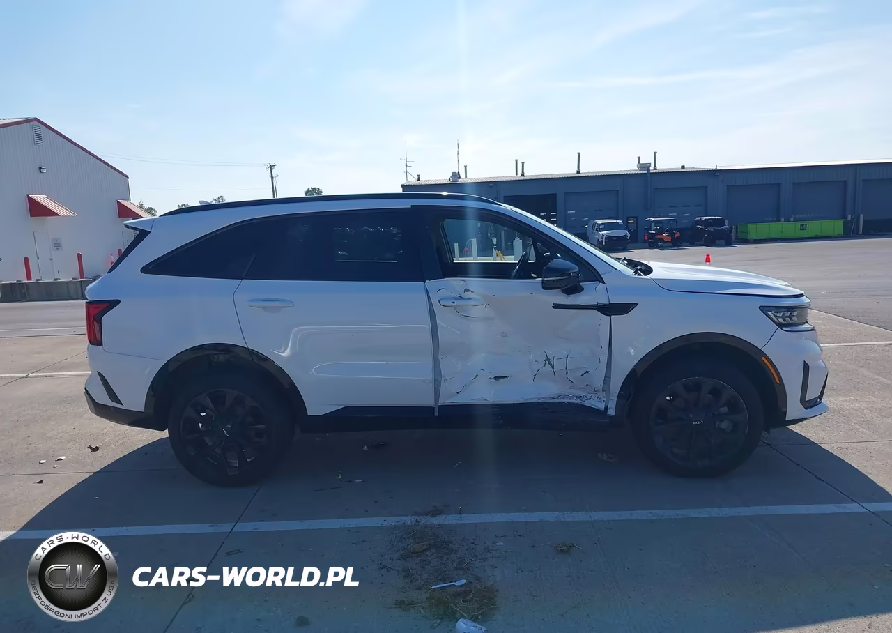 2023 Kia Sorento Sx VIN:5XYRKDLF3PG198232 - 13