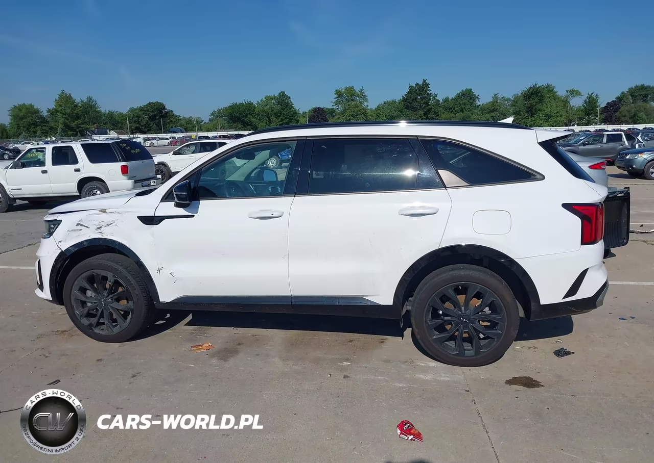 2023 Kia Sorento Sx VIN:5XYRKDLF3PG198232 - 14