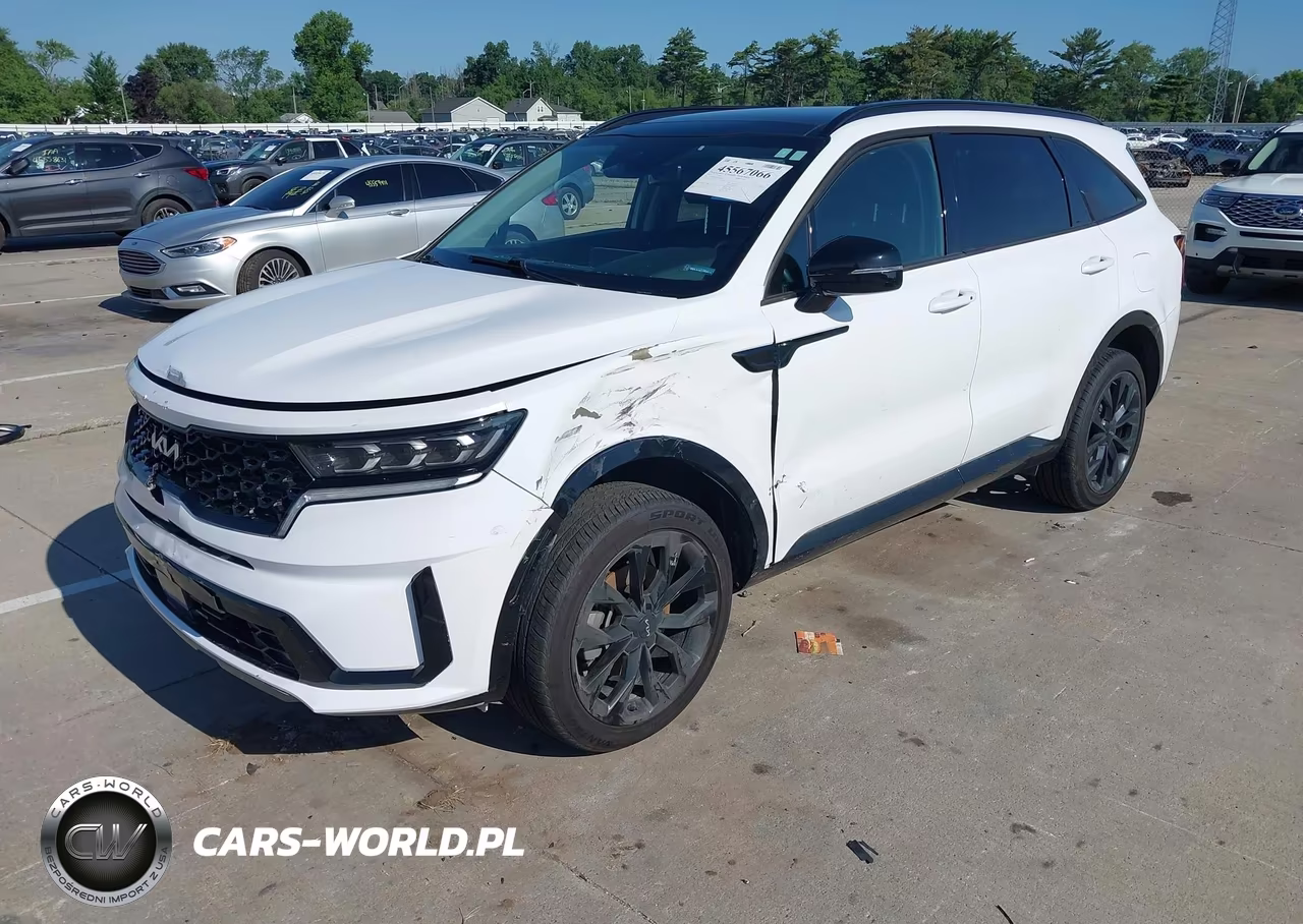 2023 Kia Sorento Sx VIN:5XYRKDLF3PG198232 - 2
