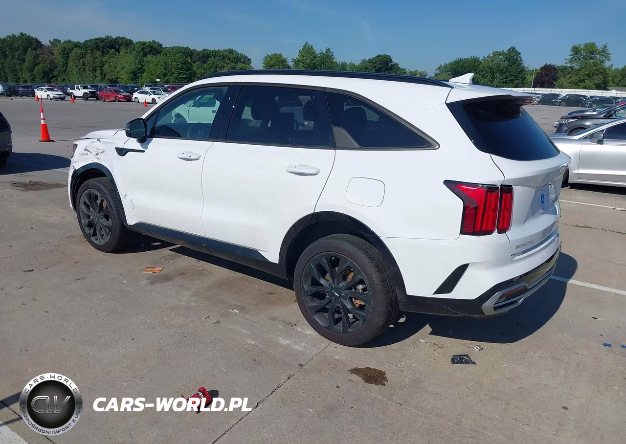 2023 Kia Sorento Sx VIN:5XYRKDLF3PG198232 - 3