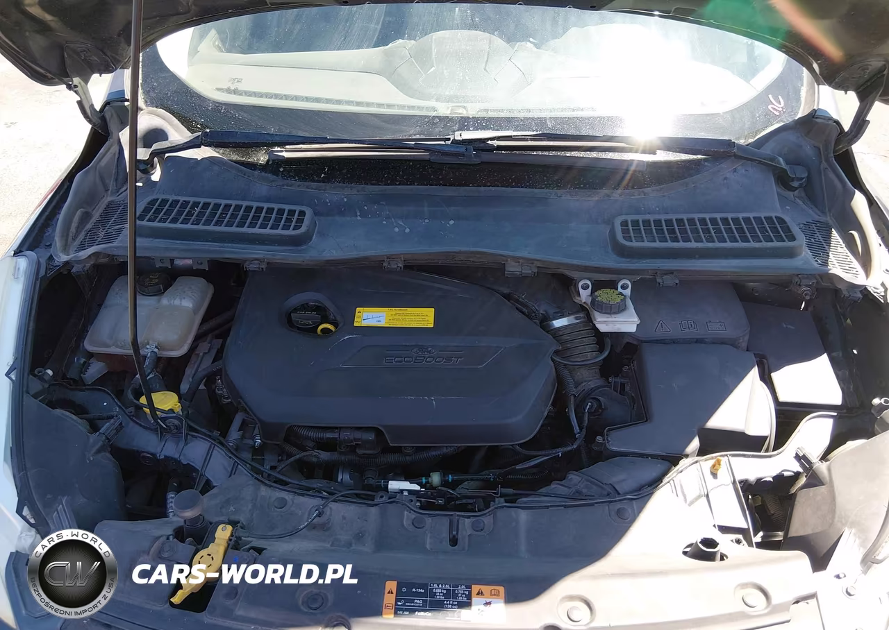 2016 Ford Escape Se VIN:1FMCU0GX3GUC42865 - 10