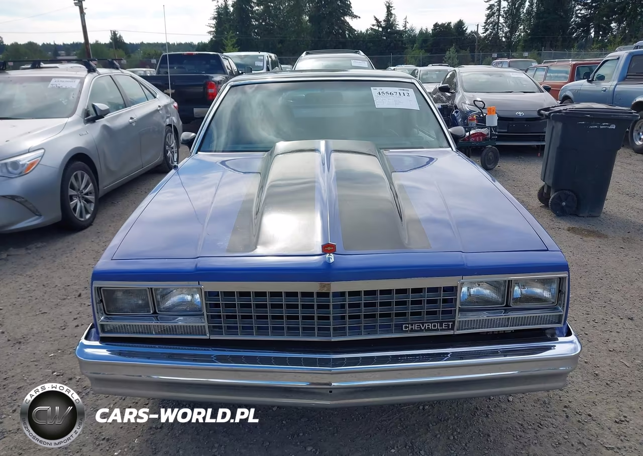 1979 Chevrolet El Camino VIN:1W80H9K573124 - 12