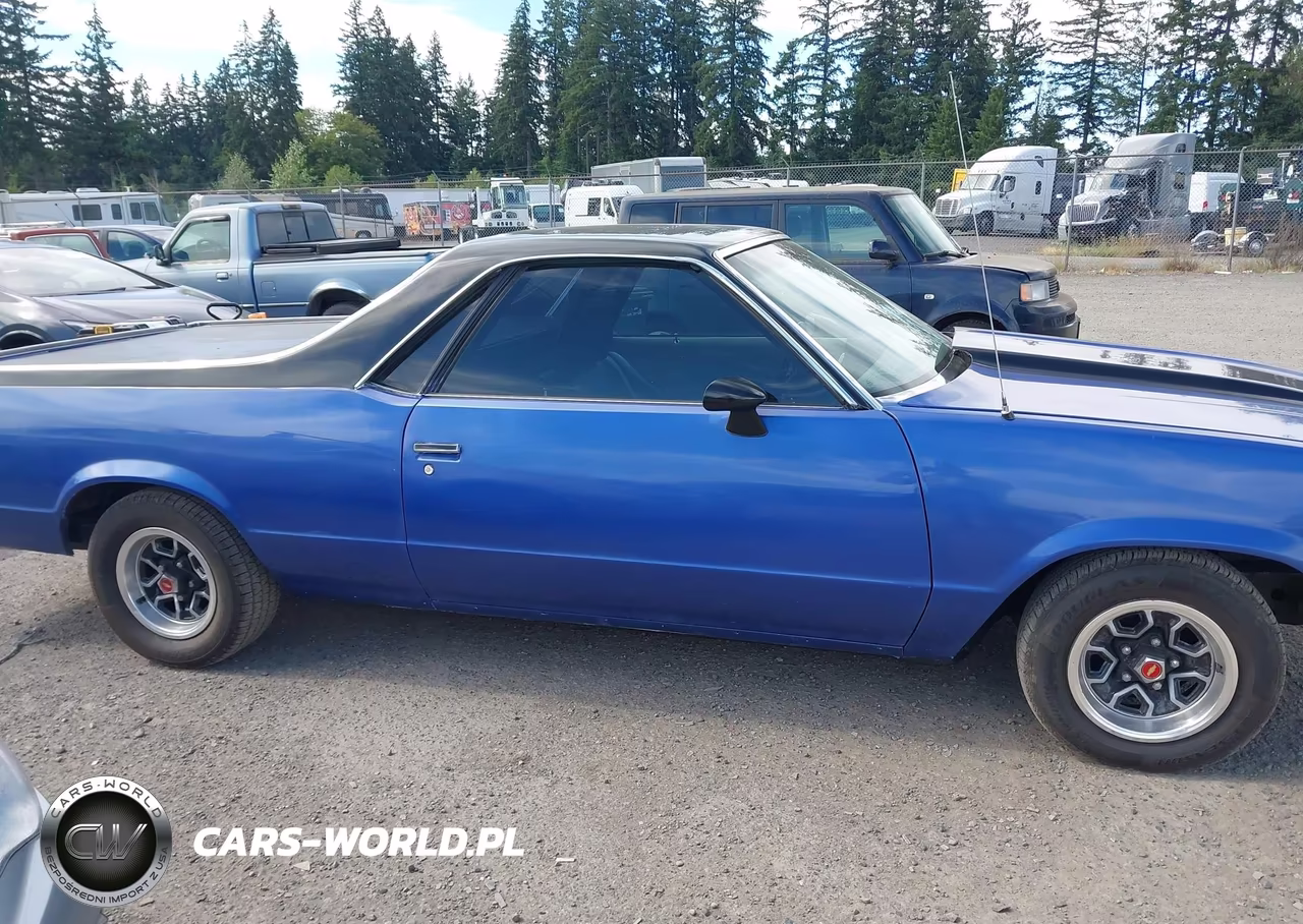 1979 Chevrolet El Camino VIN:1W80H9K573124 - 13