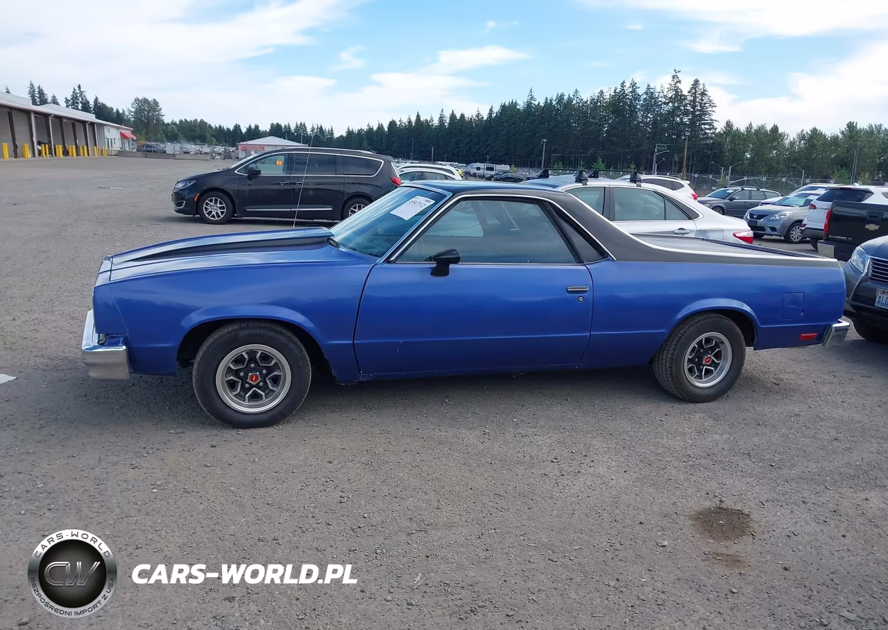 1979 Chevrolet El Camino VIN:1W80H9K573124 - 14