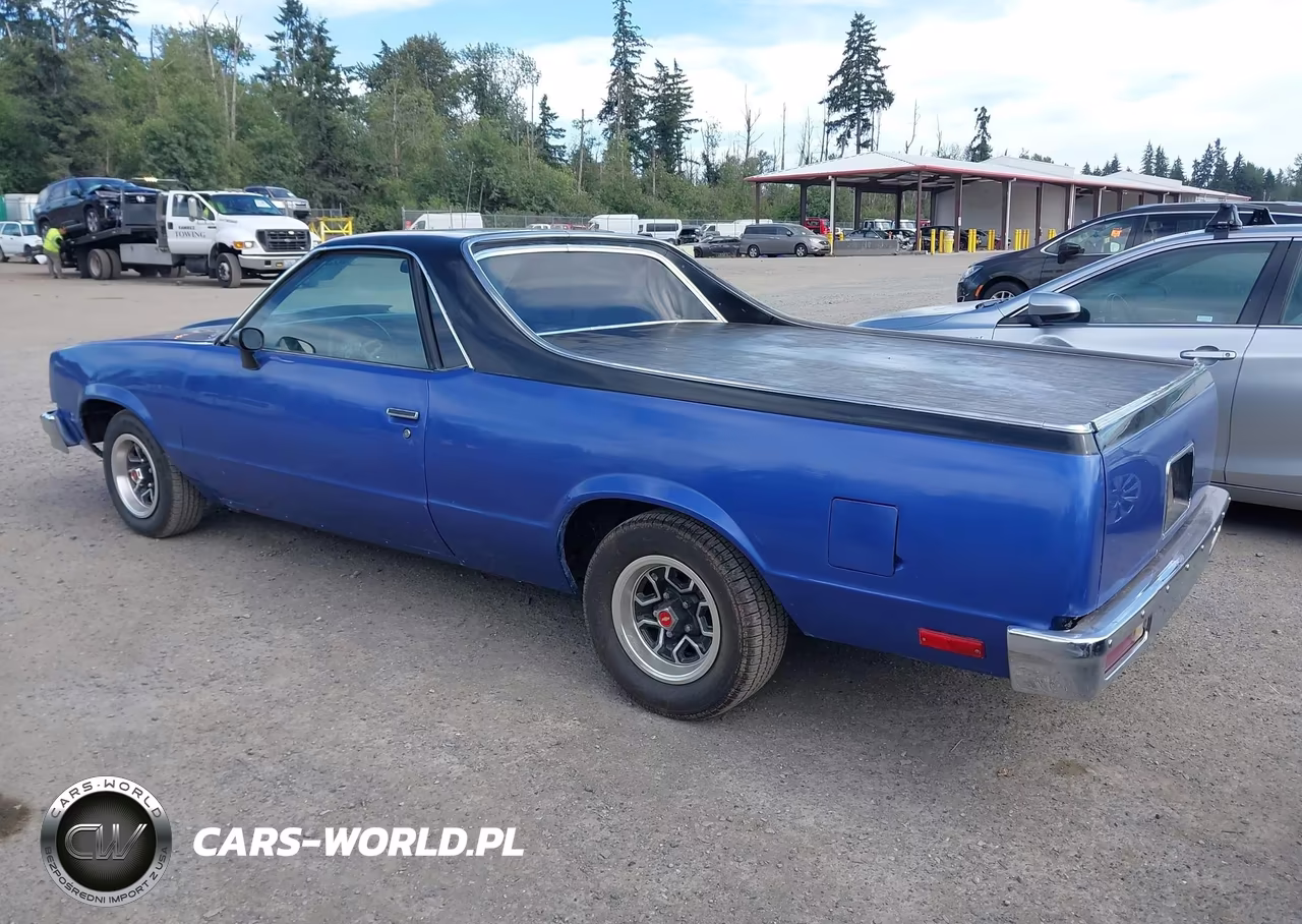 1979 Chevrolet El Camino VIN:1W80H9K573124 - 3
