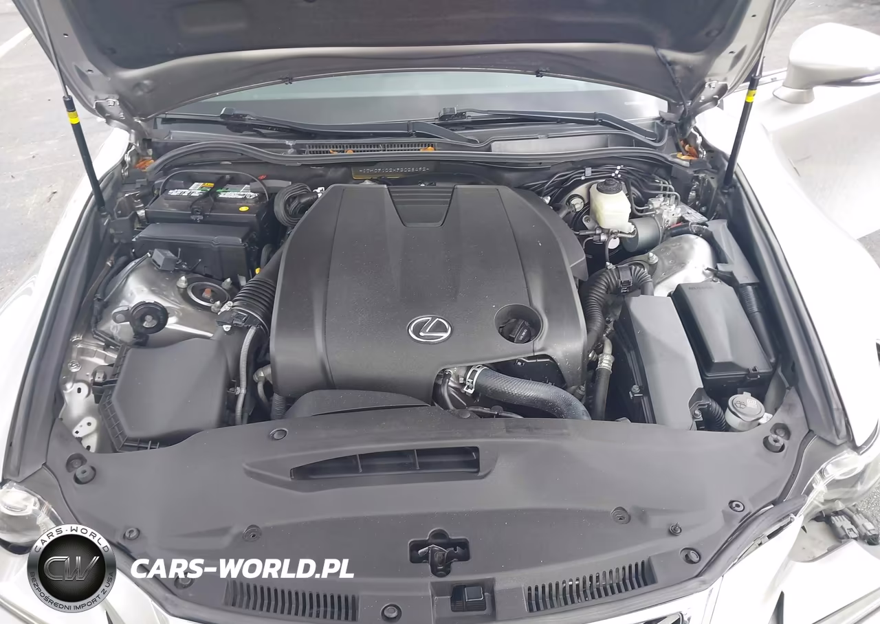 2015 Lexus Is 250 VIN:JTHCF1D2XF5028492 - 10