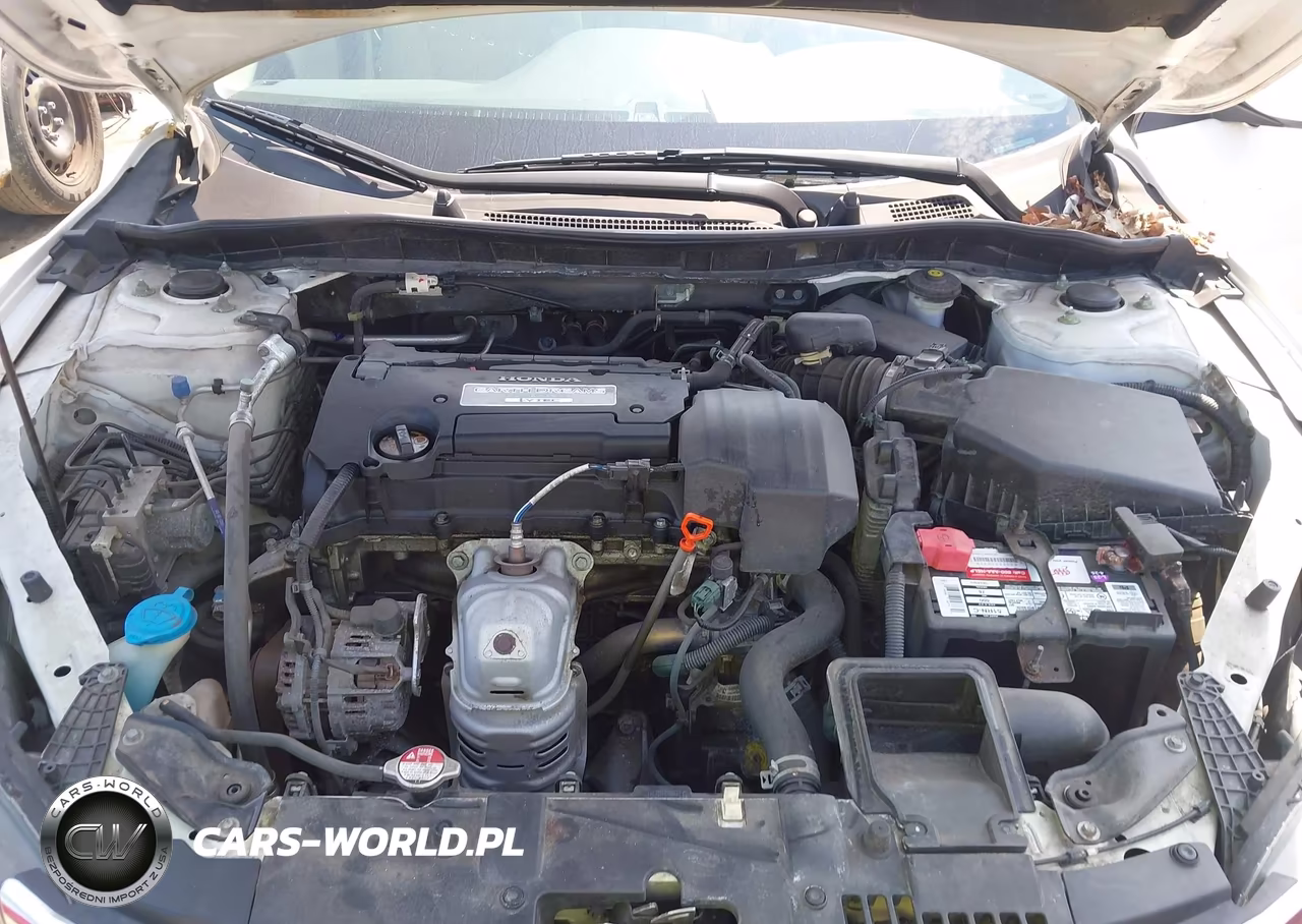 2013 Honda Accord Lx VIN:1HGCR2F34DA221179 - 10