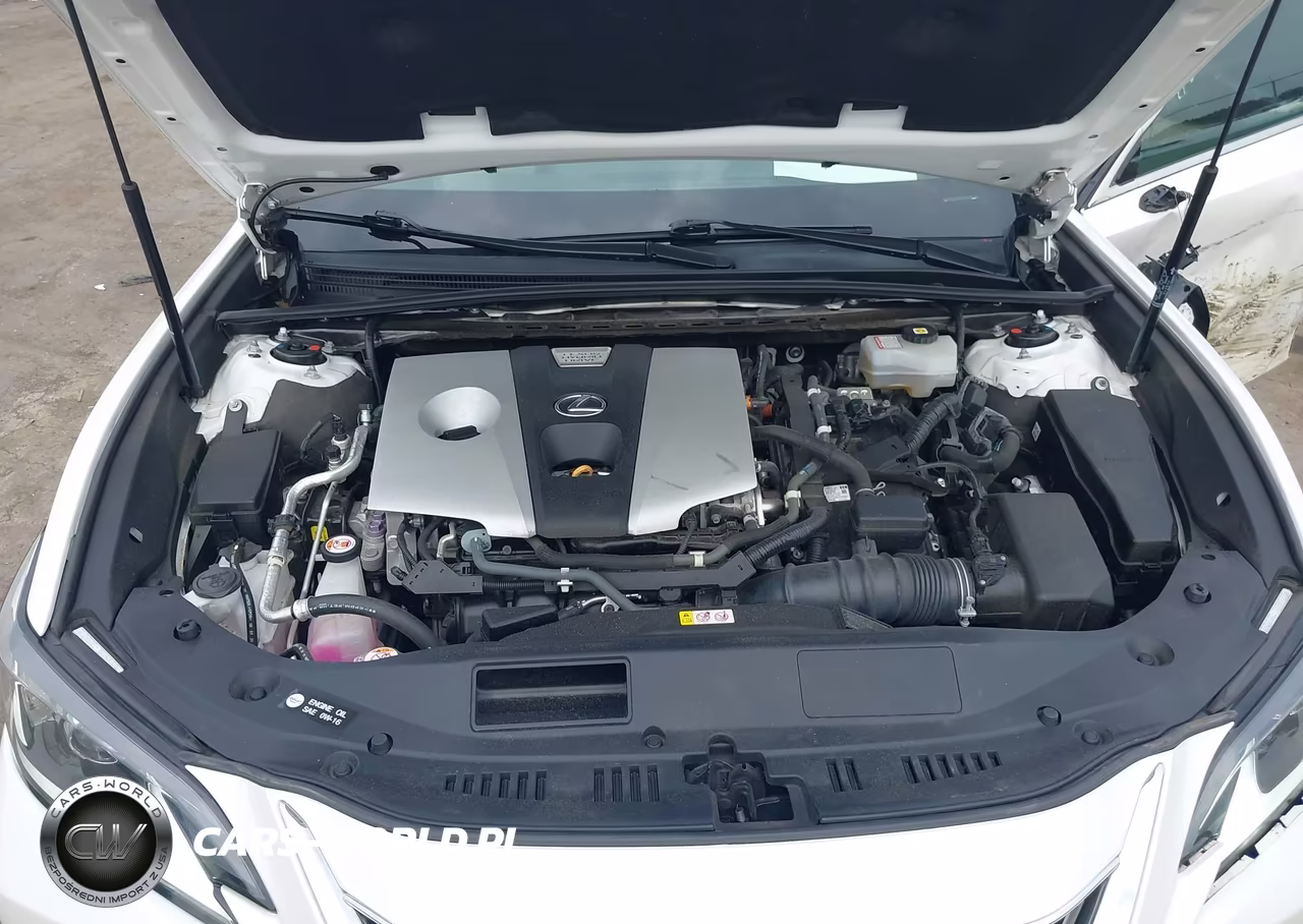 2021 Lexus Es 300H VIN:58ADA1C15MU012124 - 10