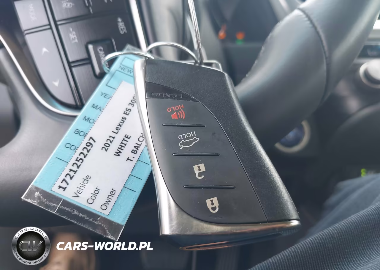 2021 Lexus Es 300H VIN:58ADA1C15MU012124 - 11