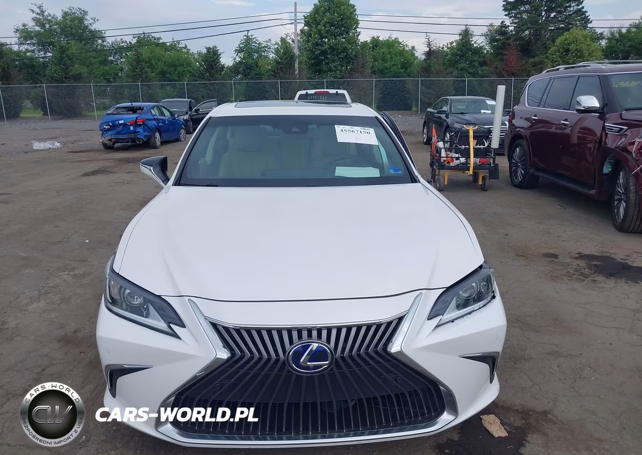 2021 Lexus Es 300H VIN:58ADA1C15MU012124 - 12