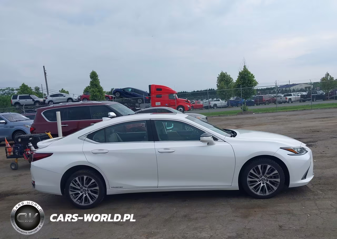 2021 Lexus Es 300H VIN:58ADA1C15MU012124 - 13