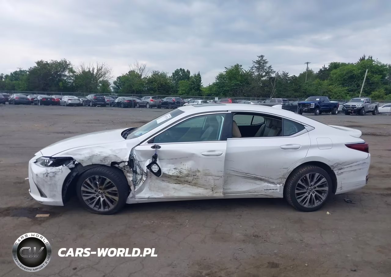 2021 Lexus Es 300H VIN:58ADA1C15MU012124 - 14