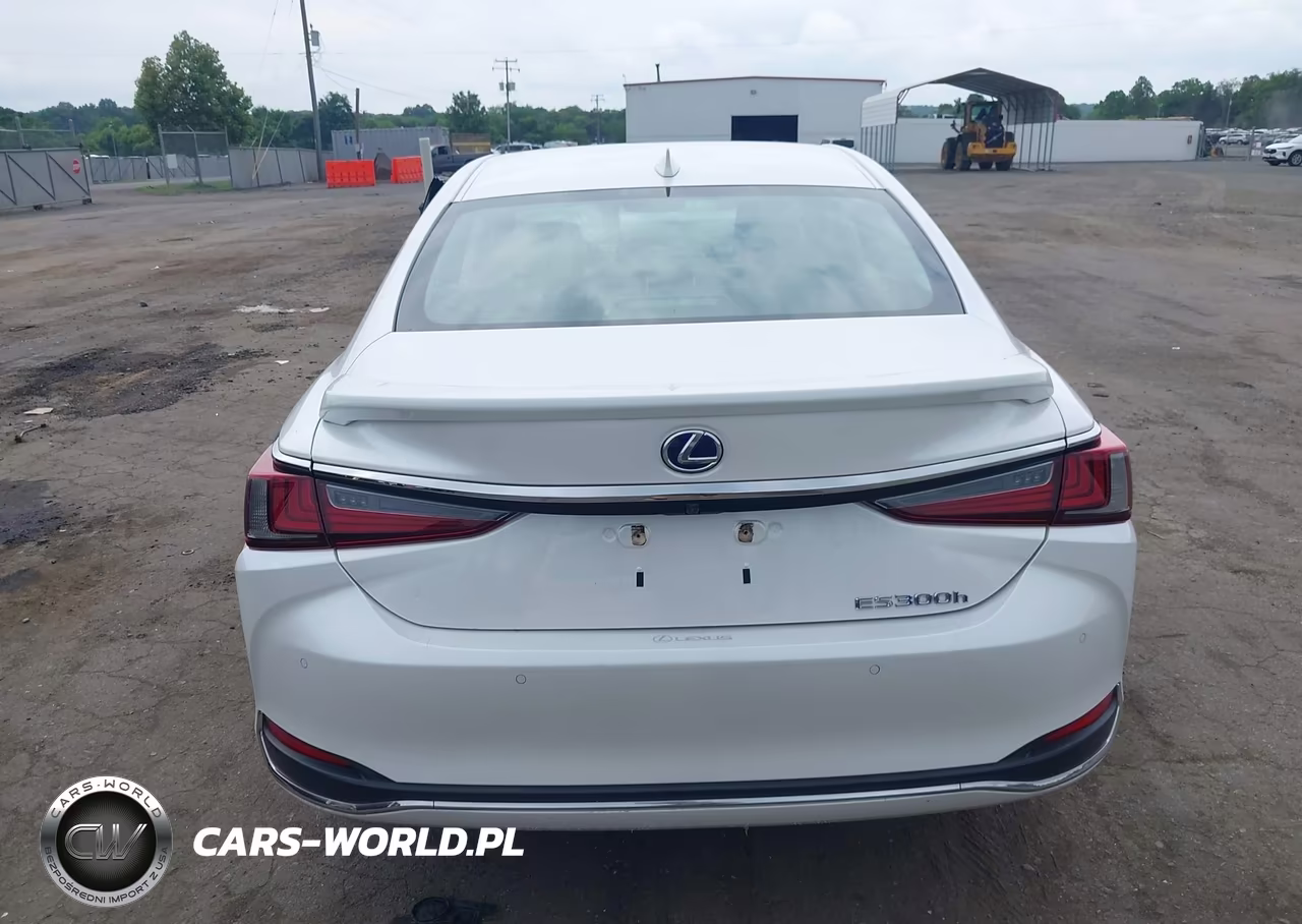 2021 Lexus Es 300H VIN:58ADA1C15MU012124 - 16