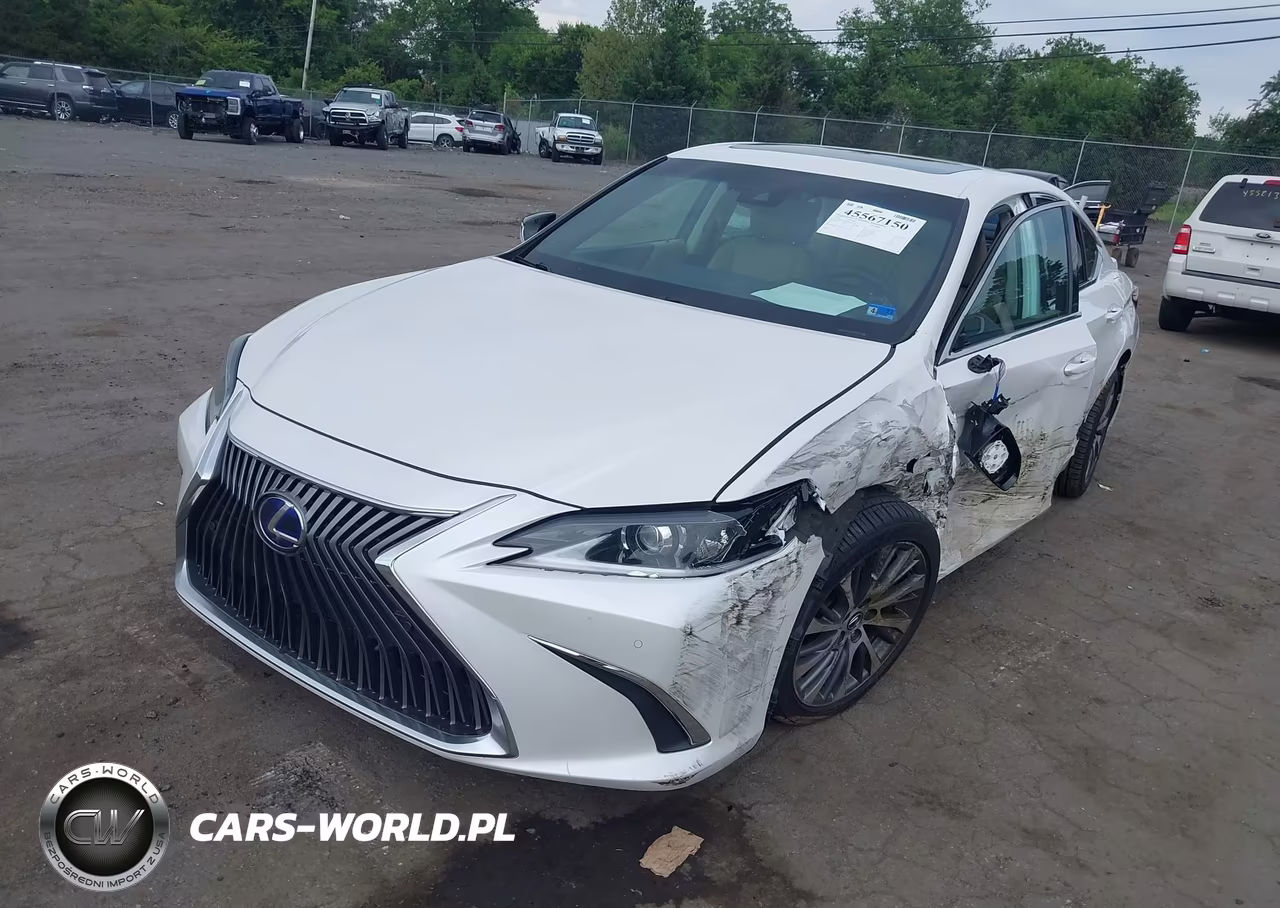 2021 Lexus Es 300H VIN:58ADA1C15MU012124 - 2