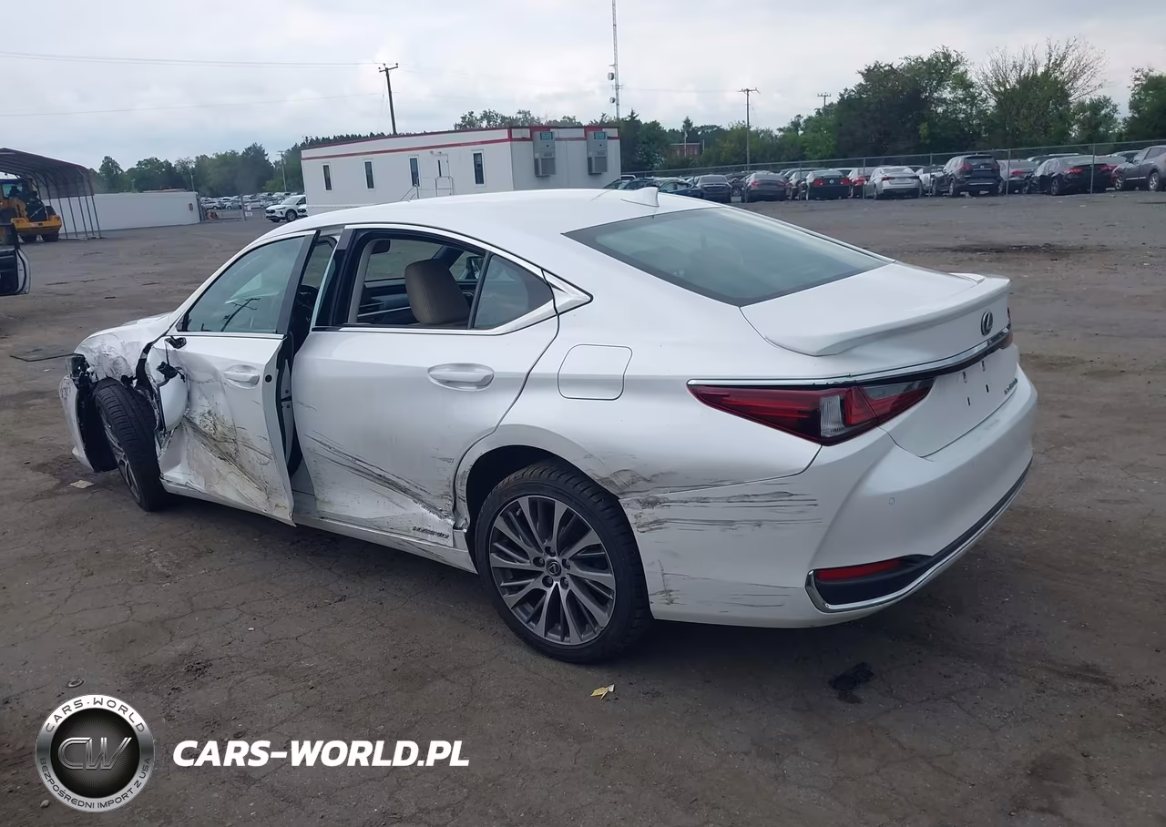 2021 Lexus Es 300H VIN:58ADA1C15MU012124 - 3