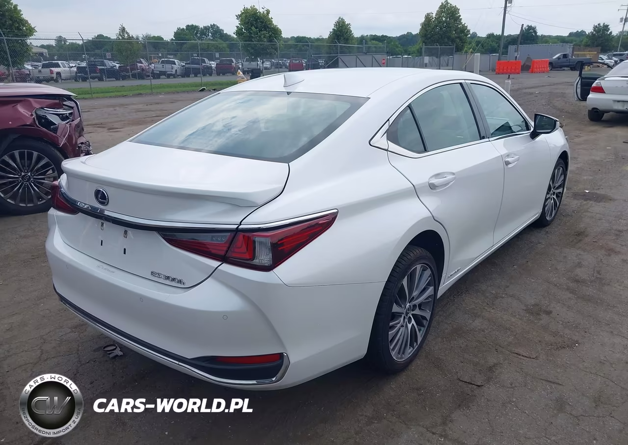 2021 Lexus Es 300H VIN:58ADA1C15MU012124 - 4