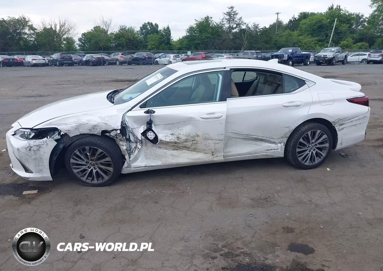 2021 Lexus Es 300H VIN:58ADA1C15MU012124 - 6