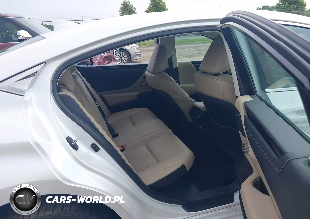 2021 Lexus Es 300H VIN:58ADA1C15MU012124 - 8