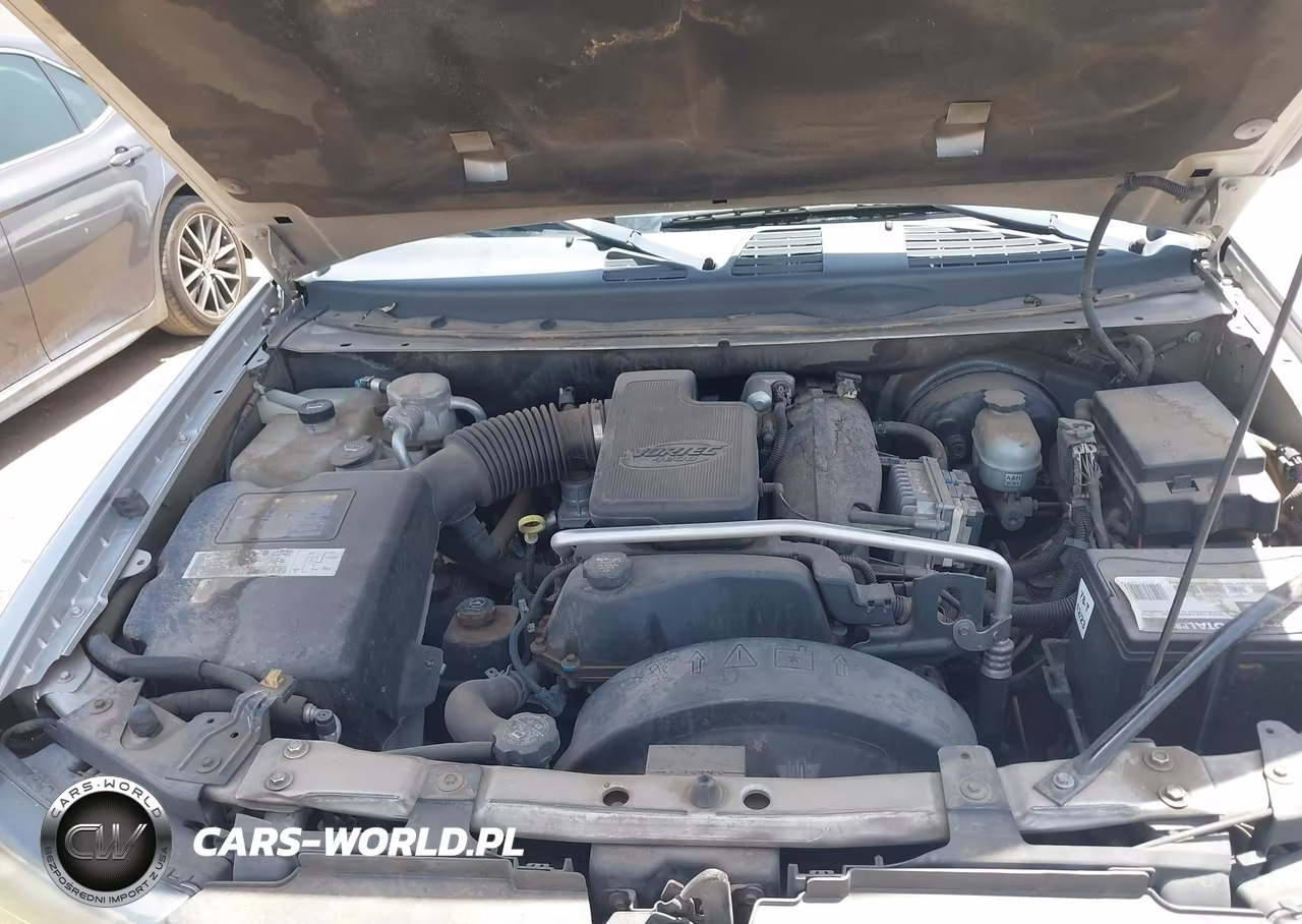 2004 Chevrolet Trailblazer Ls VIN:1GNDT13S842252463 - 10