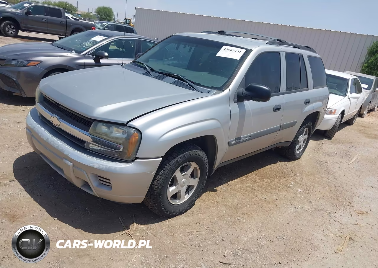 2004 Chevrolet Trailblazer Ls VIN:1GNDT13S842252463 - 2