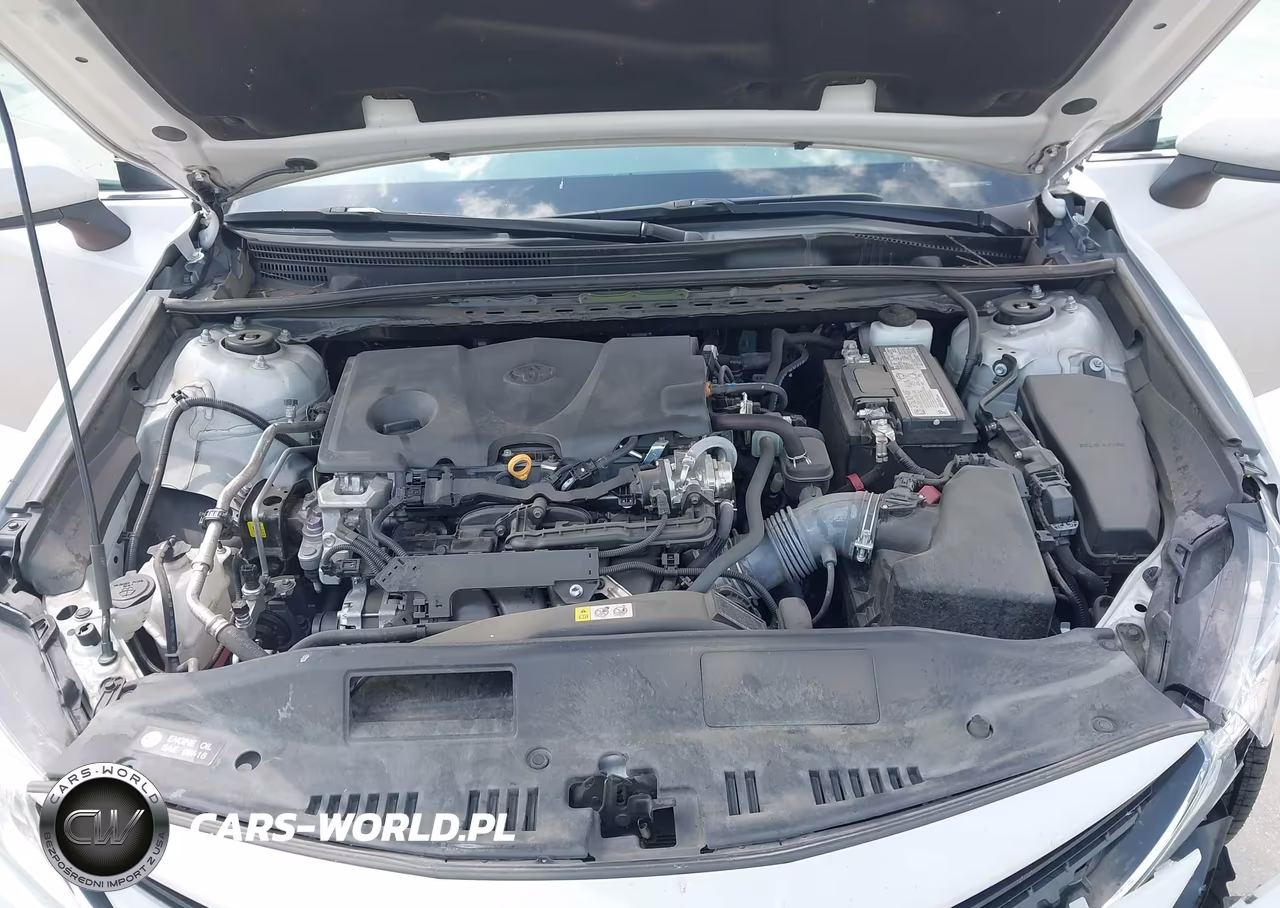 2023 Toyota Camry Le VIN:4T1C11AK7PU184173 - 10