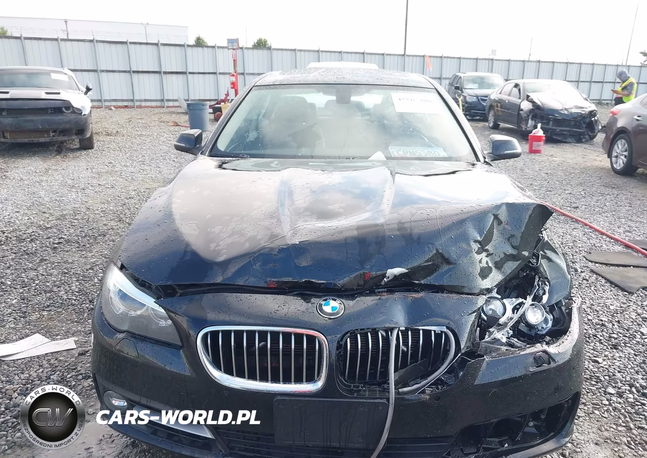 2016 BMW 528I xDrive VIN:WBA5A7C51GG151933 - 12