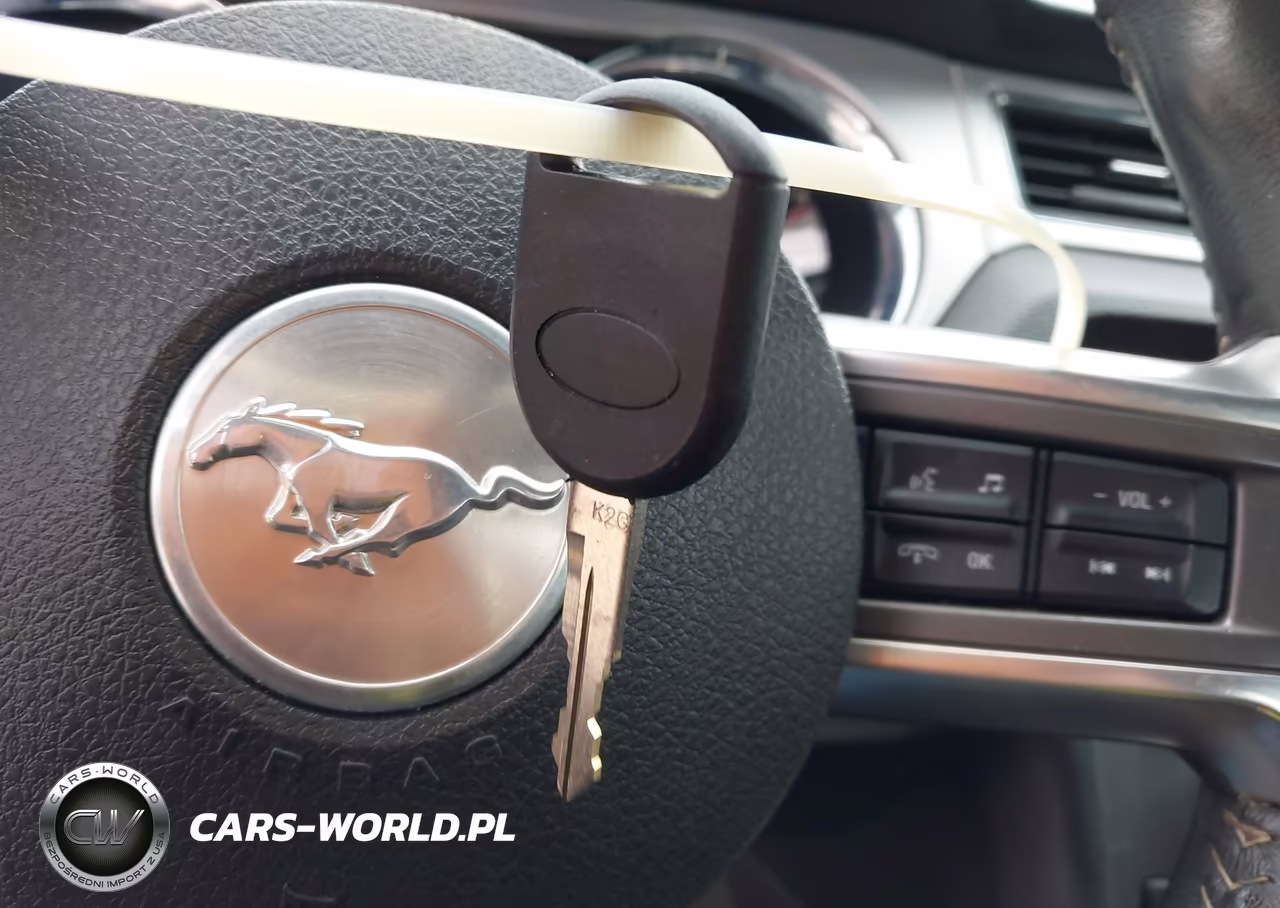 2013 Ford Mustang V6 Premium VIN:1ZVBP8AM0D5203092 - 11