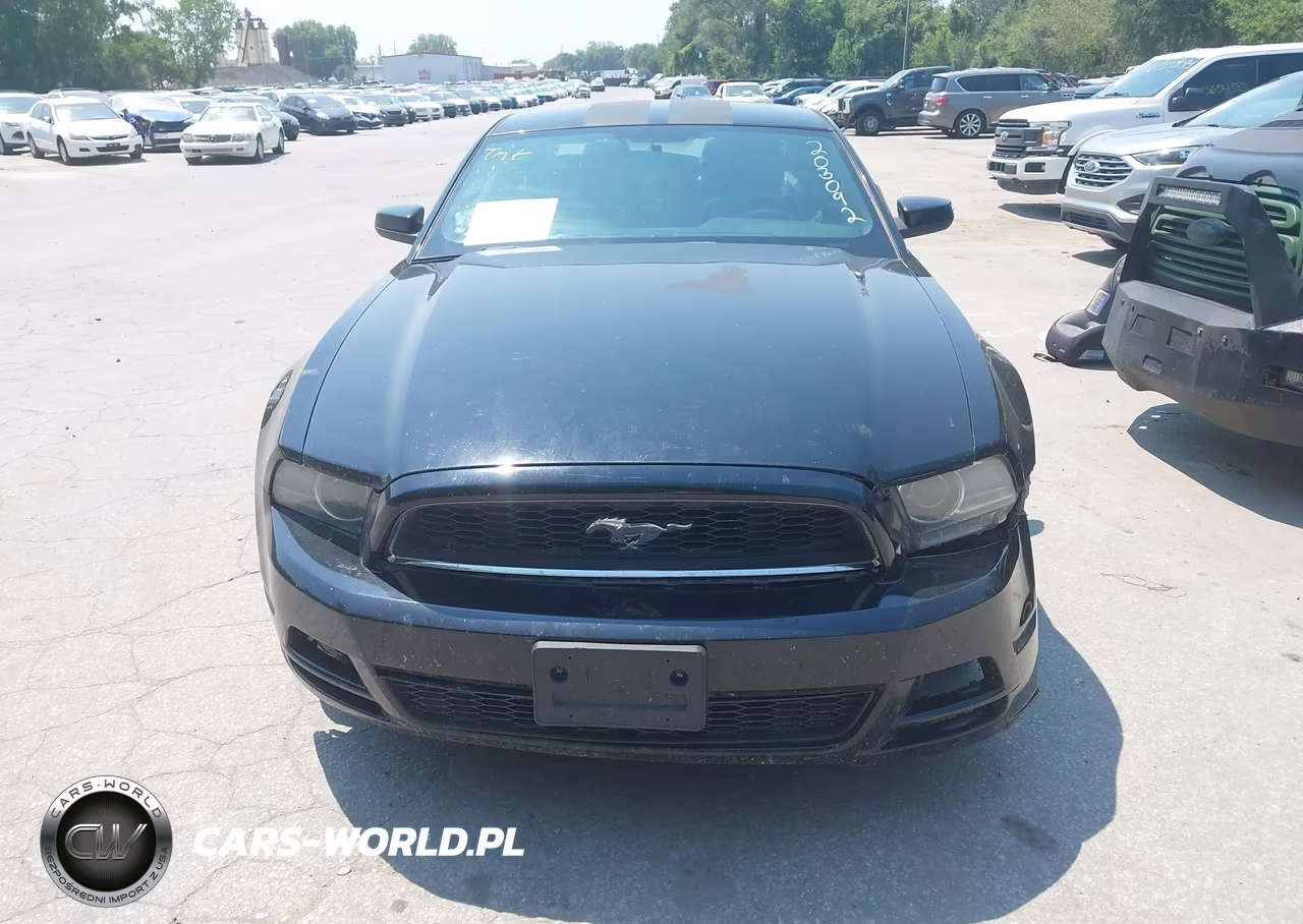 2013 Ford Mustang V6 Premium VIN:1ZVBP8AM0D5203092 - 12