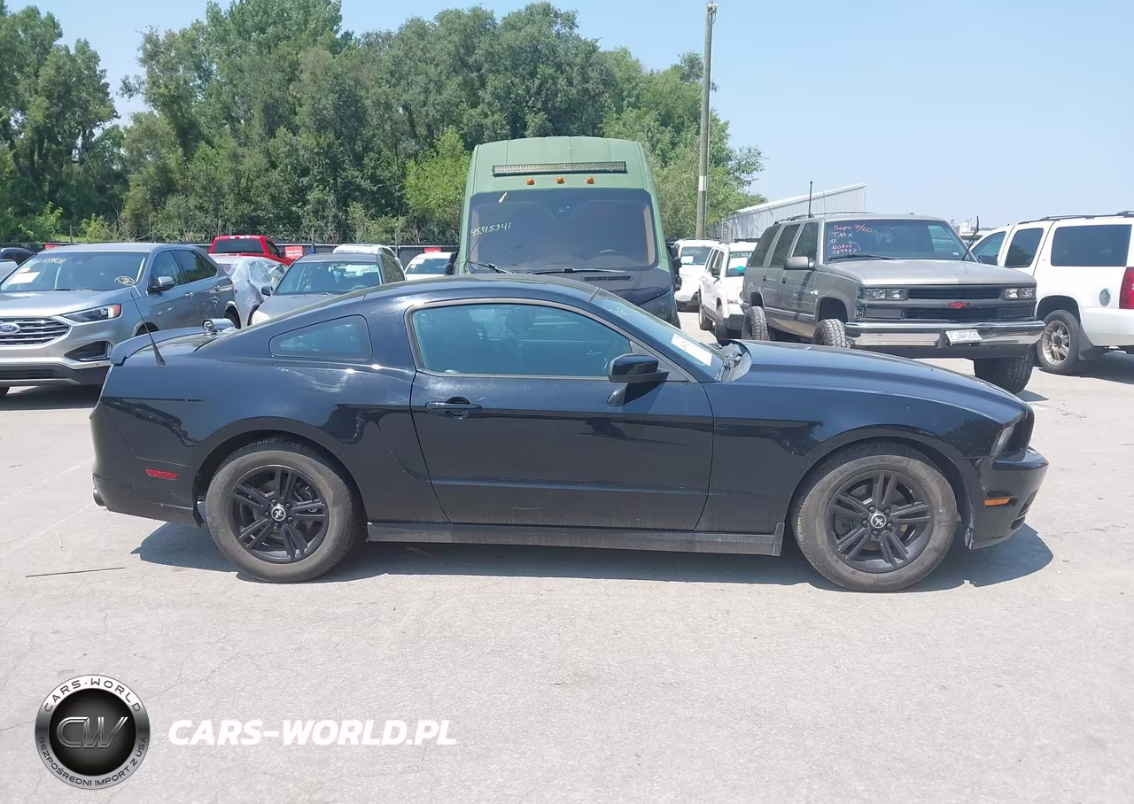 2013 Ford Mustang V6 Premium VIN:1ZVBP8AM0D5203092 - 13