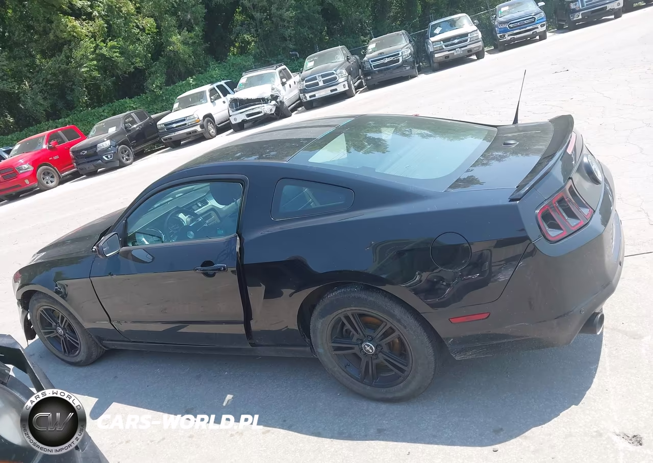 2013 Ford Mustang V6 Premium VIN:1ZVBP8AM0D5203092 - 14