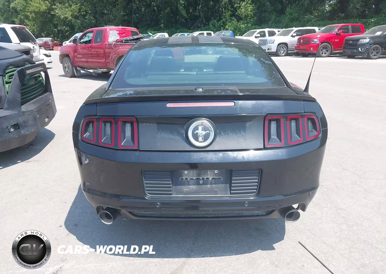 2013 Ford Mustang V6 Premium VIN:1ZVBP8AM0D5203092 - 16