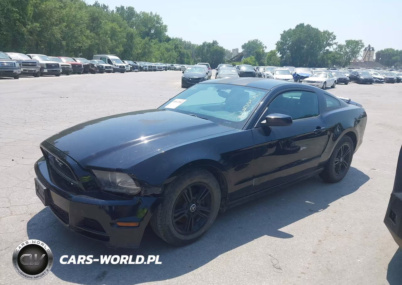 2013 Ford Mustang V6 Premium VIN:1ZVBP8AM0D5203092 - 2