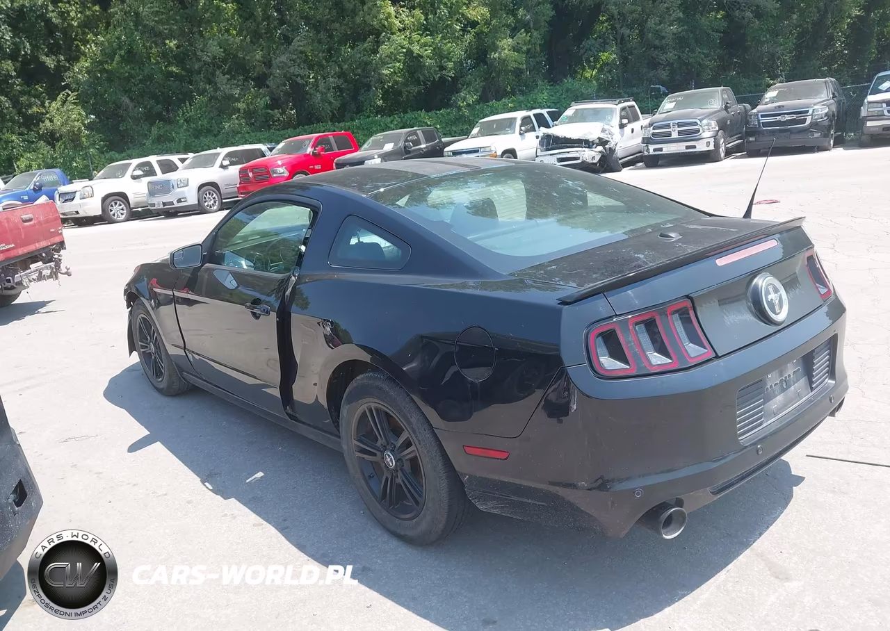 2013 Ford Mustang V6 Premium VIN:1ZVBP8AM0D5203092 - 3