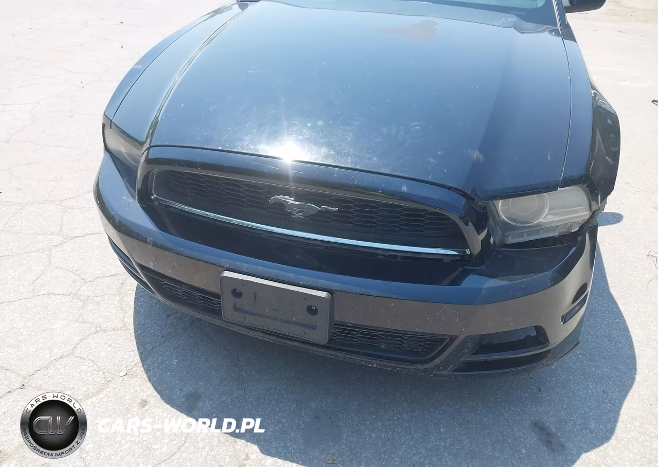 2013 Ford Mustang V6 Premium VIN:1ZVBP8AM0D5203092 - 6