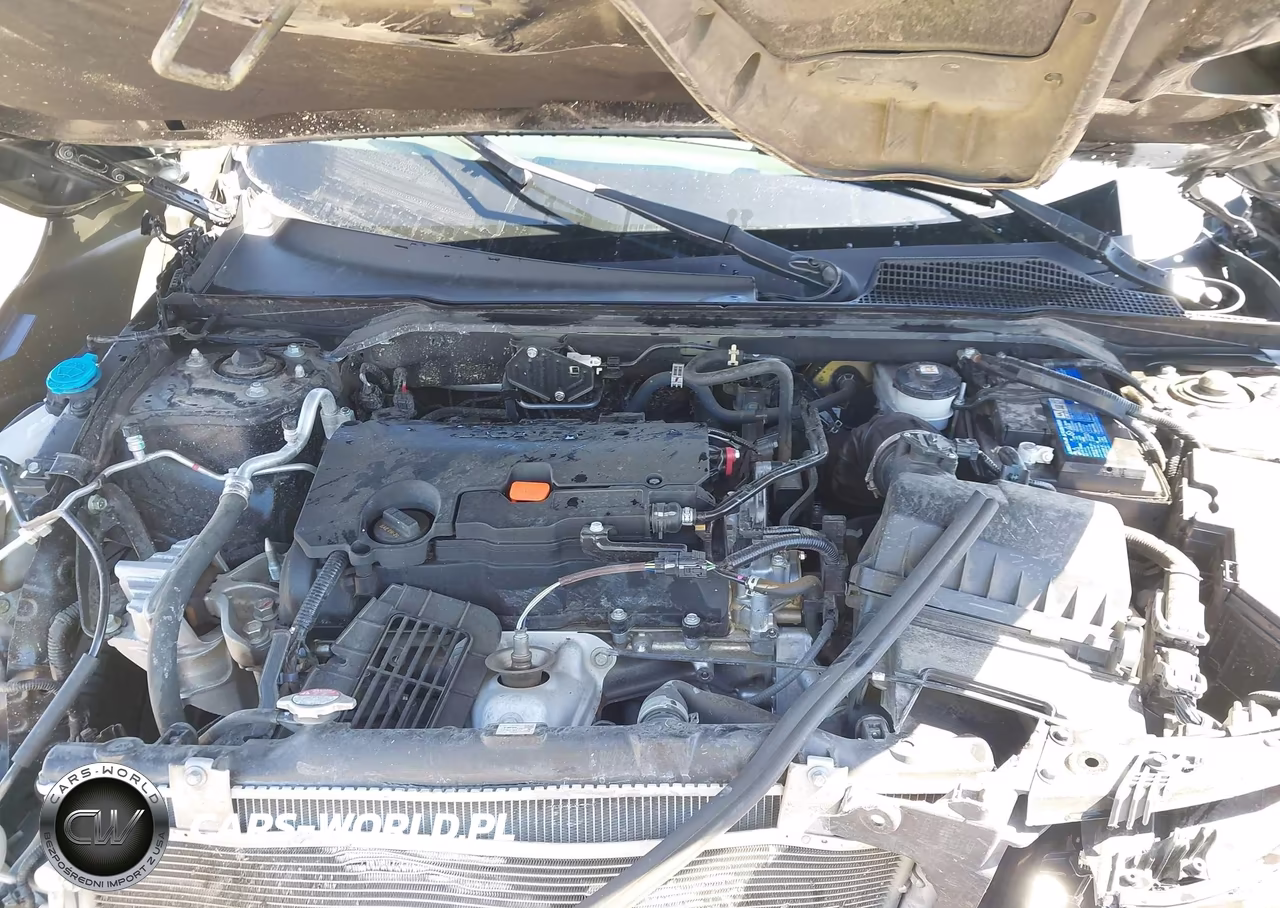 2024 Honda Civic Lx VIN:2HGFE2F23RH525483 - 10