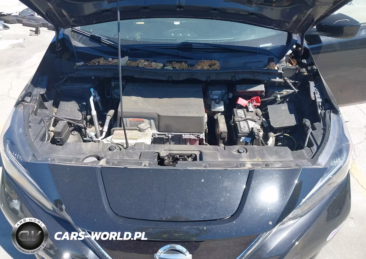 2019 Nissan Leaf Sv VIN:1N4AZ1CP3KC307372 - 10