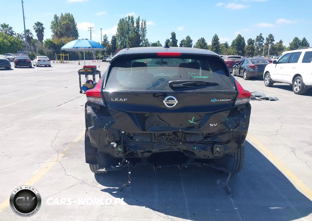 2019 Nissan Leaf Sv VIN:1N4AZ1CP3KC307372 - 17