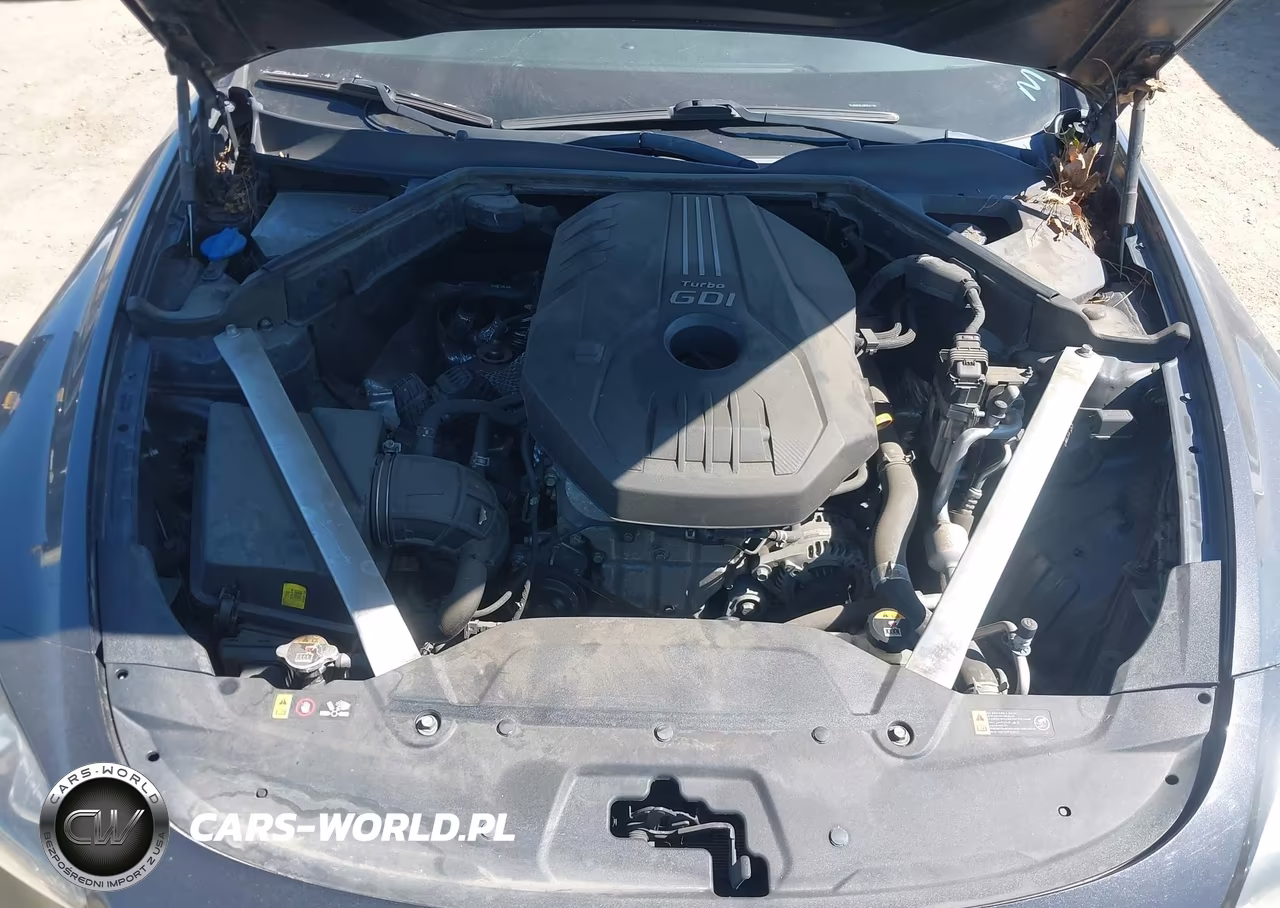 2019 Kia Stinger VIN:KNAE15LA8K6047780 - 10