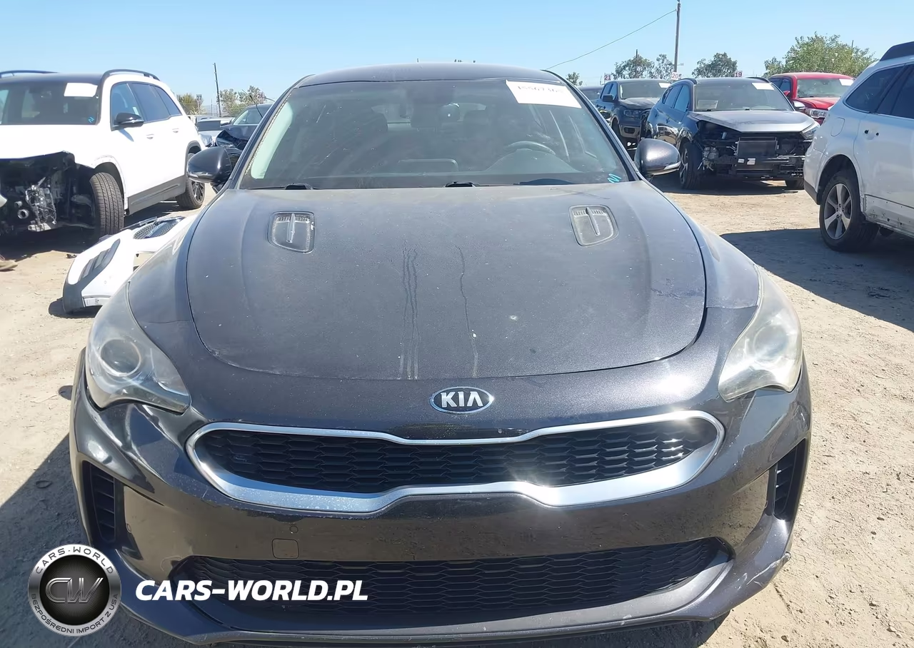 2019 Kia Stinger VIN:KNAE15LA8K6047780 - 12