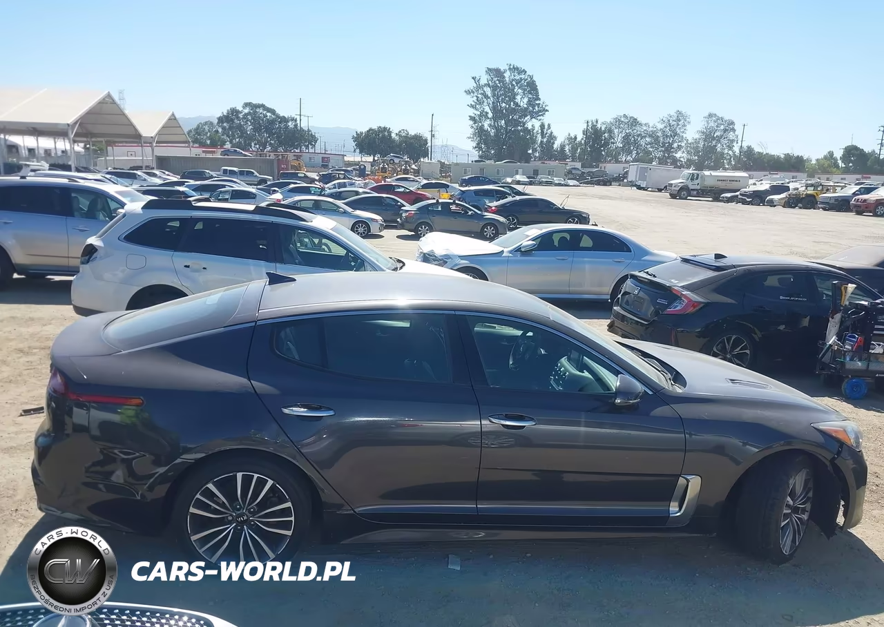 2019 Kia Stinger VIN:KNAE15LA8K6047780 - 13