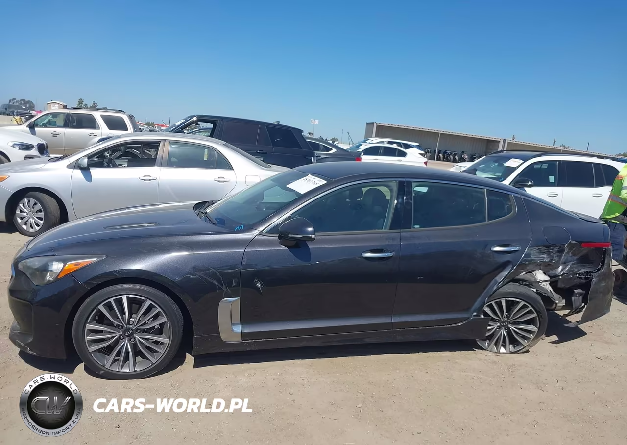 2019 Kia Stinger VIN:KNAE15LA8K6047780 - 14