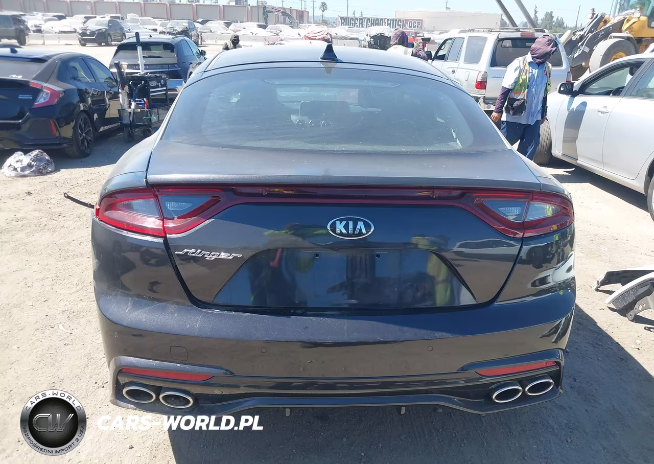 2019 Kia Stinger VIN:KNAE15LA8K6047780 - 16
