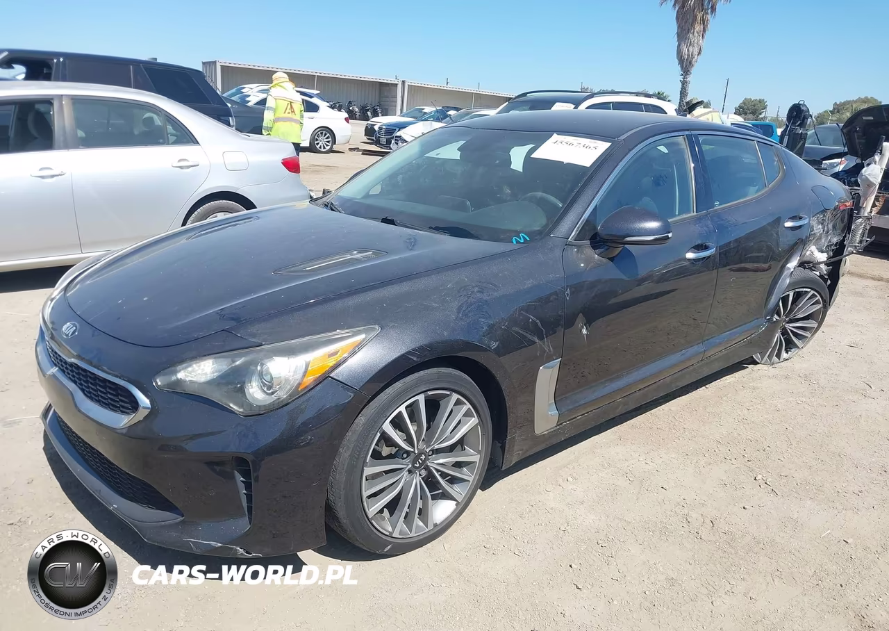 2019 Kia Stinger VIN:KNAE15LA8K6047780 - 2