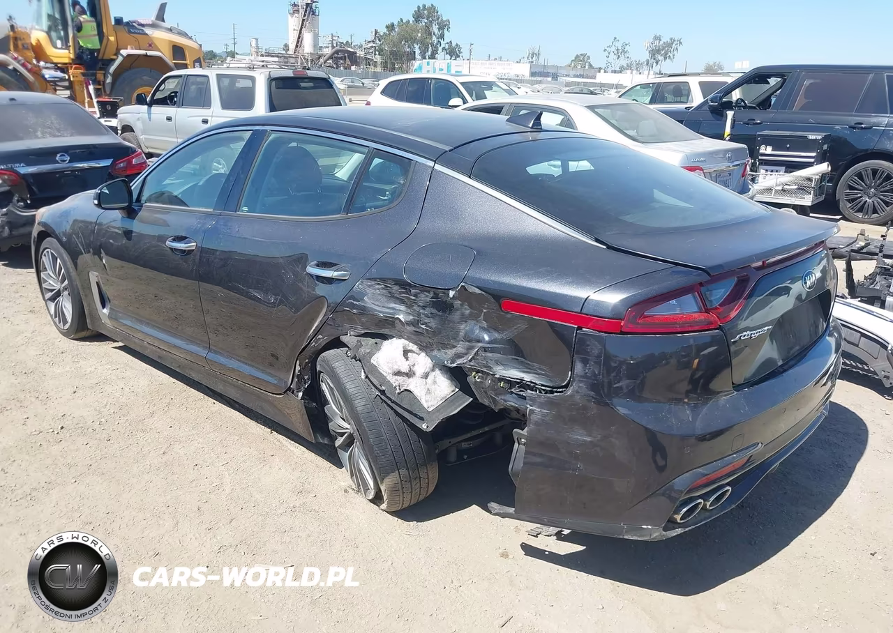 2019 Kia Stinger VIN:KNAE15LA8K6047780 - 3