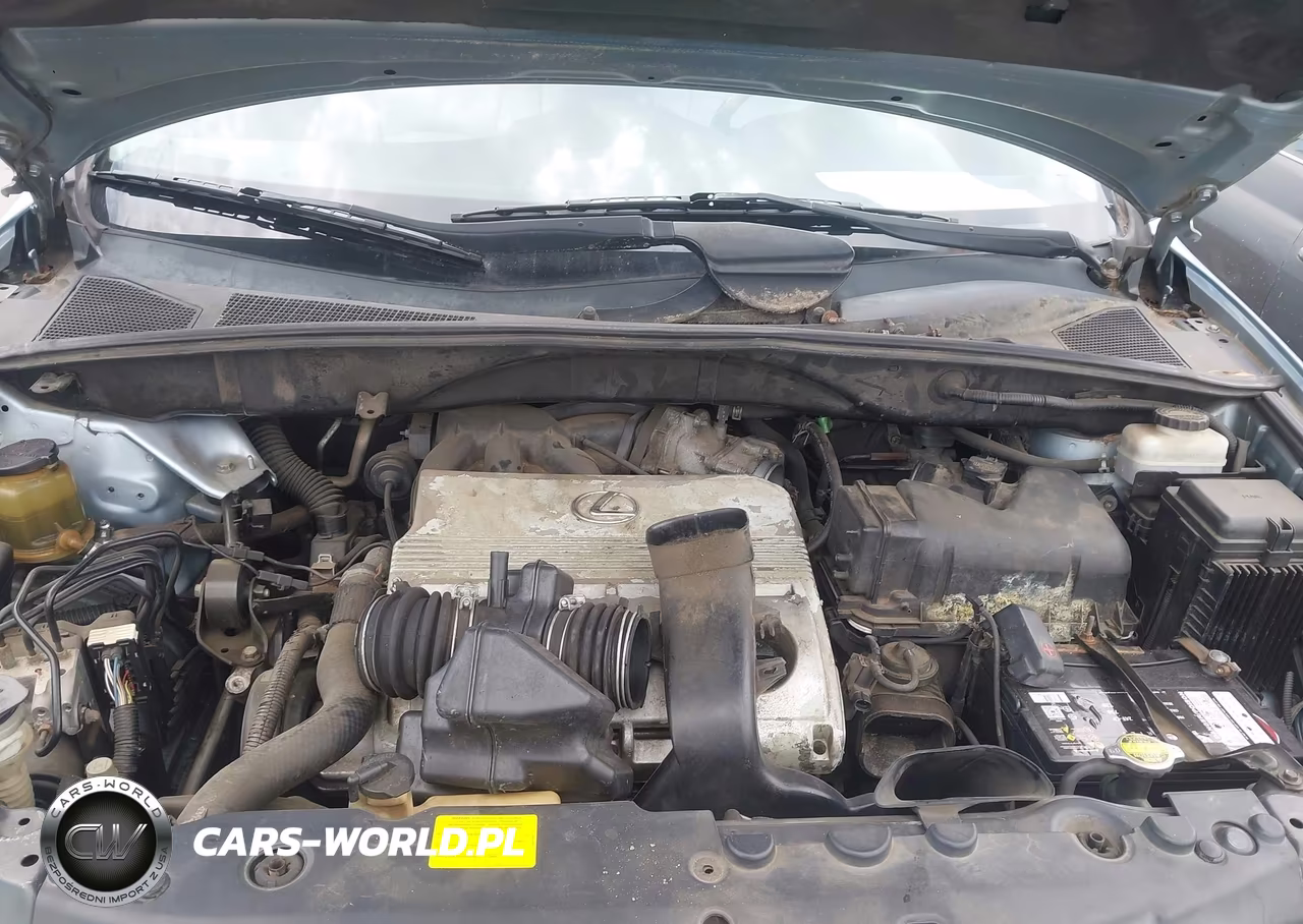 2005 Lexus Rx 330 VIN:2T2HA31U55C045866 - 10