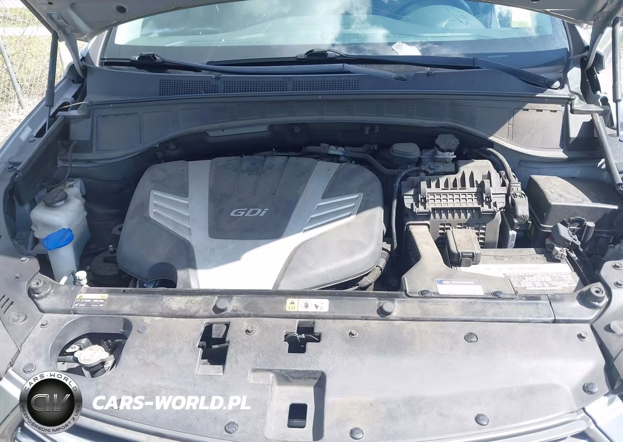 2017 Hyundai Santa Fe Se Ultimate VIN:KM8SR4HF1HU201243 - 10