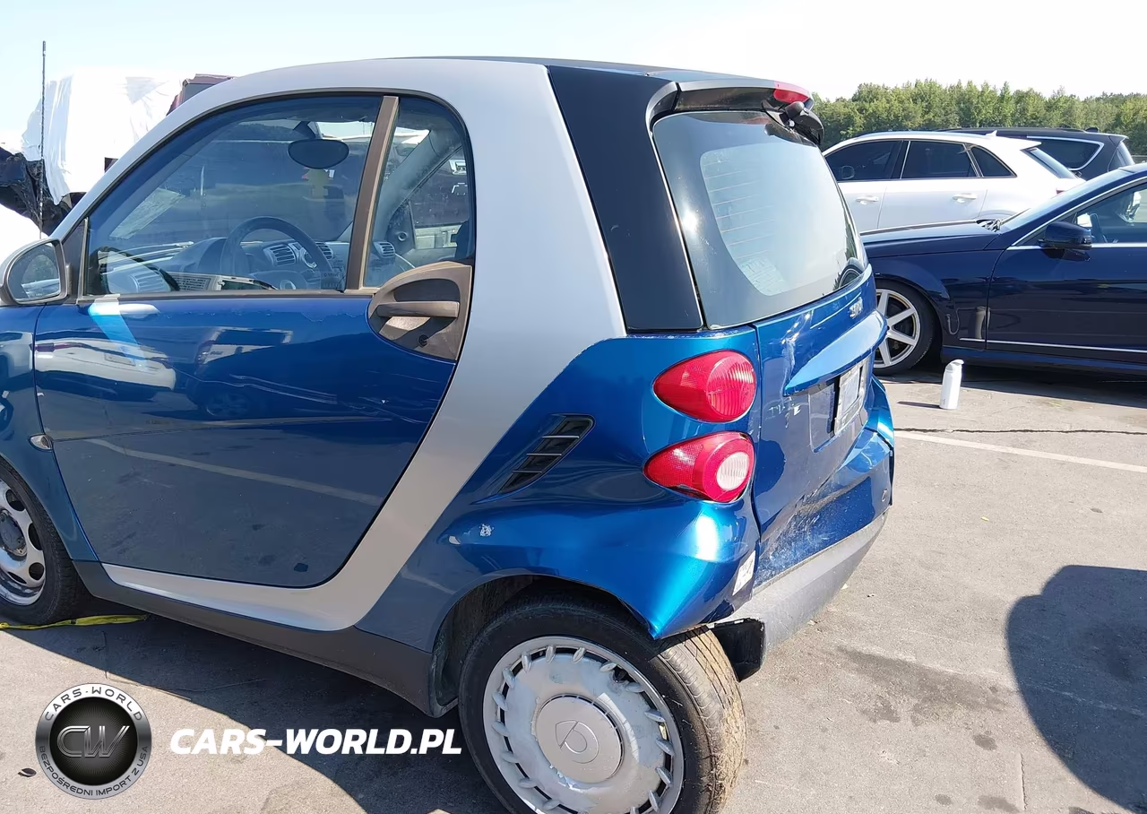 2009 Smart Fortwo Brabus-Passion-Pure VIN:WMEEJ31X69K299190 - 13