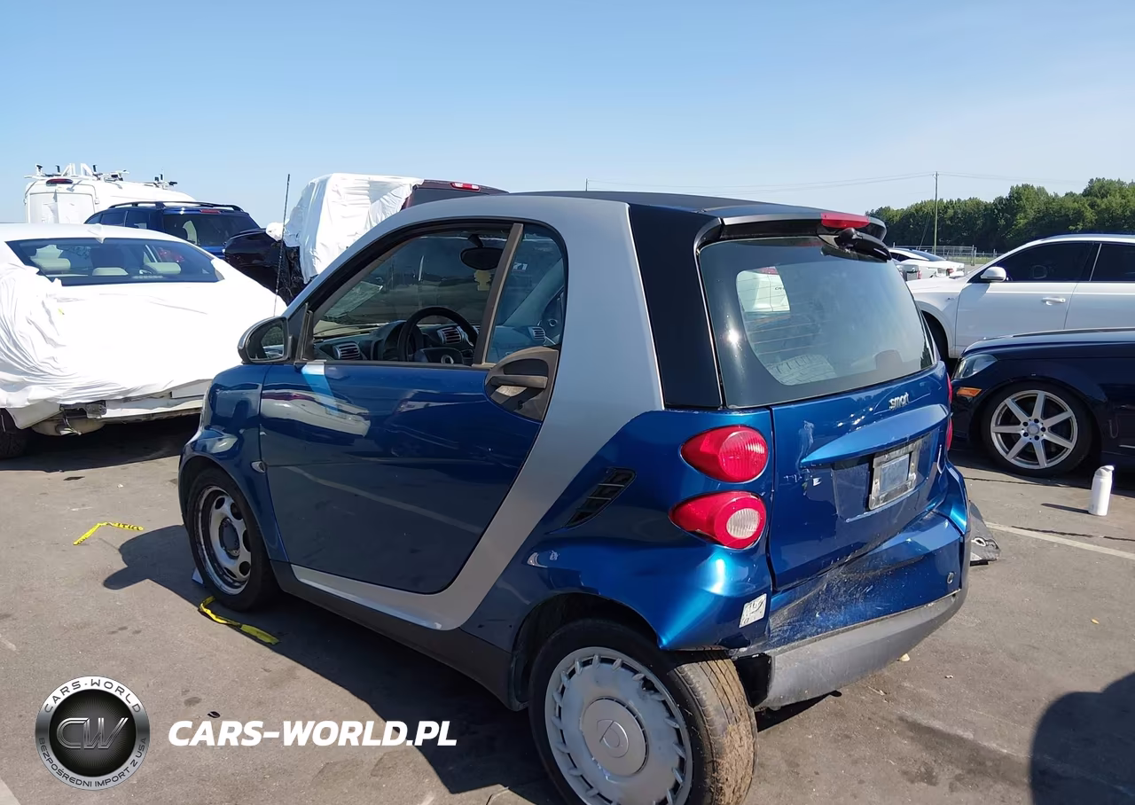 2009 Smart Fortwo Brabus-Passion-Pure VIN:WMEEJ31X69K299190 - 3