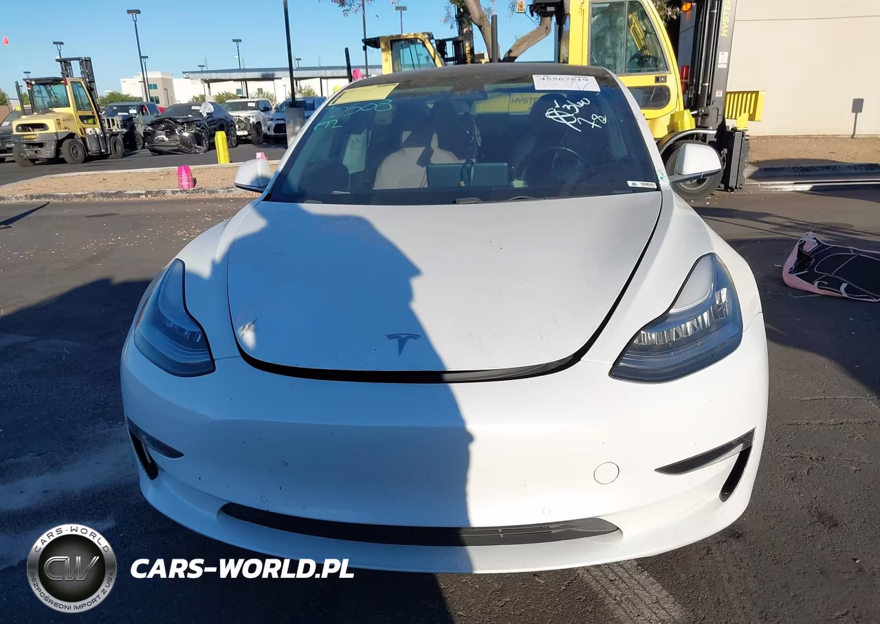 2019 Tesla Model 3 Long Range-Mid Range-Standard Range-Standard Range Plus VIN:5YJ3E1EAXKF412954 - 12